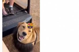 291279