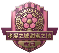 孝感隊(duì)